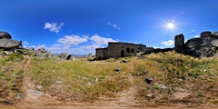 n11
