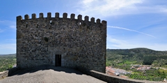 n11