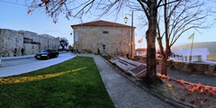 n11