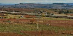 n4