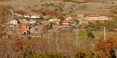 n1