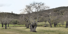 n14