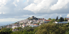 n16