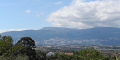 n1